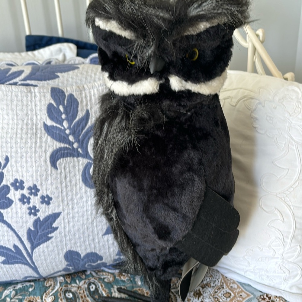 19” feather owl